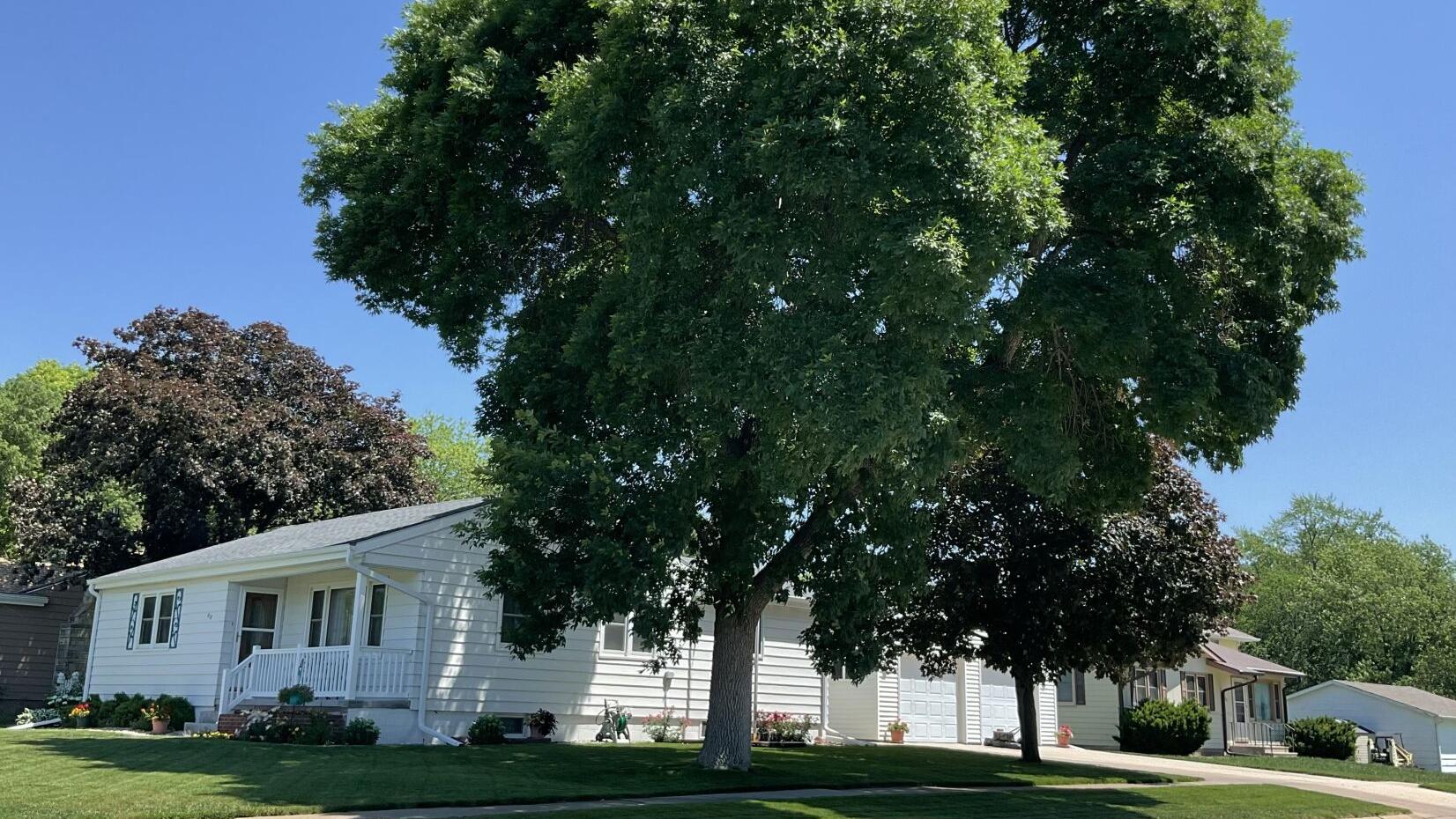 Sarah Browning: Make a plan to have it made in the shade